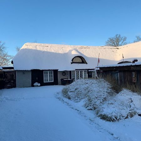 Farm61 Badehotellet I Det Midtjydske - Alder +18 Ar Tjele Exterior foto