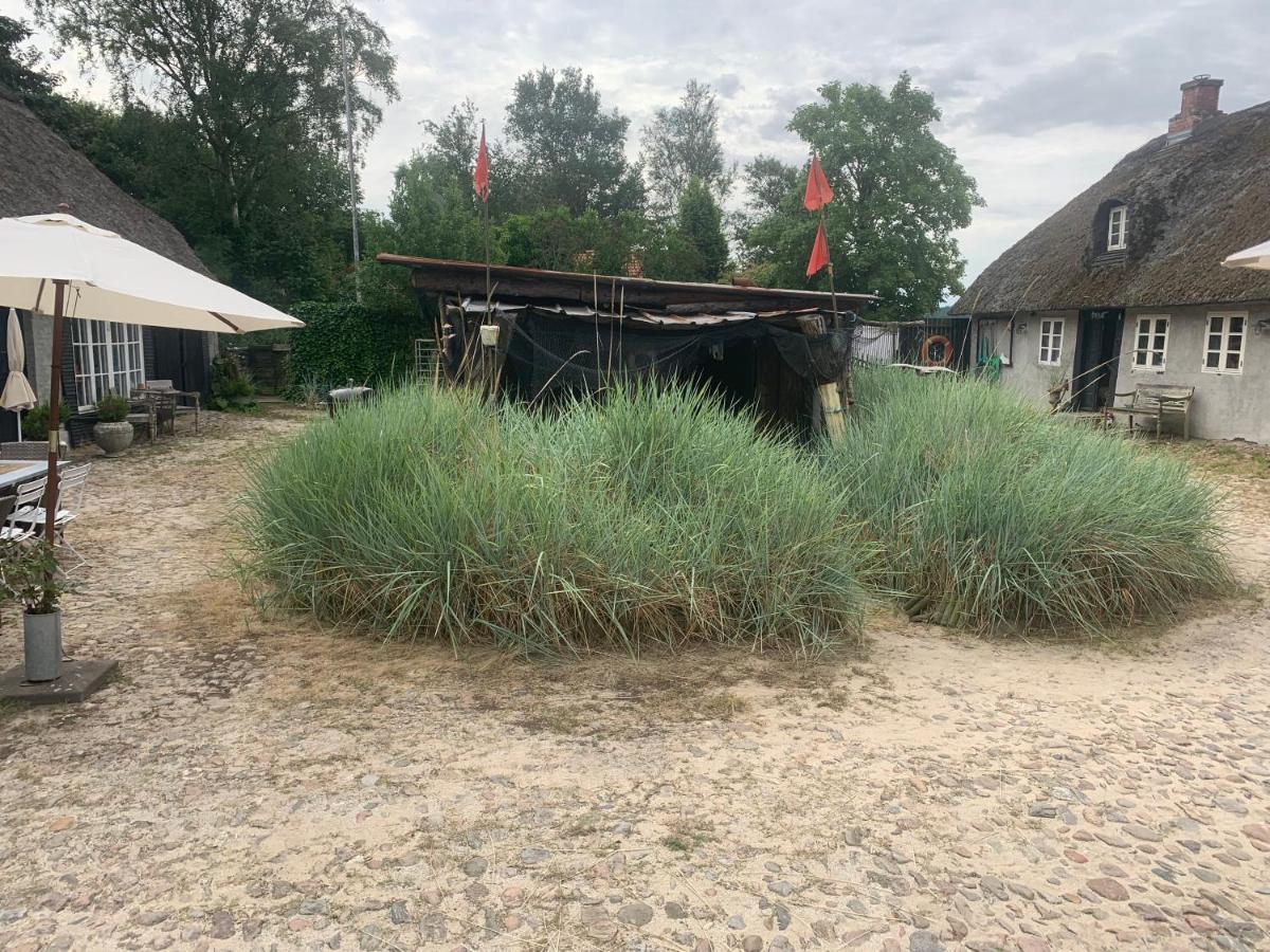 Farm61 Badehotellet I Det Midtjydske - Alder +18 Ar Tjele Exterior foto